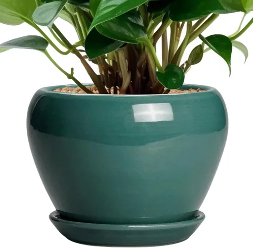 Miniatura 89 de Maceta de Cerámica Moderna con Esmalte para Suculentas con Agujero de Drenaje y Platillo, Maceta Redonda de 6 Pulgadas para Plantas de Flores