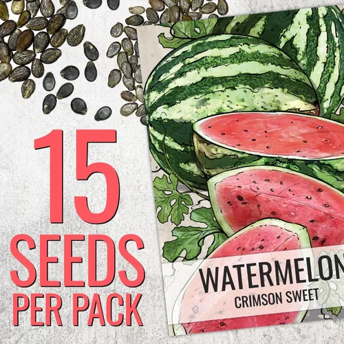 Miniatura 2 de Seed Needs Semillas de sandía para plantar frutas, semillas de melón sin OMG y agua sin tratar para plantar un jardín cultivado en casa al aire