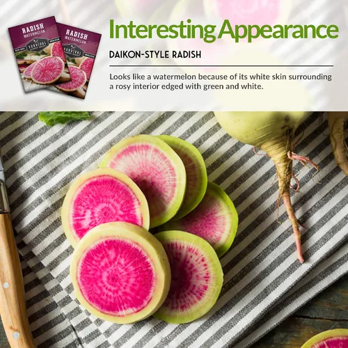 Miniatura 6 de Semillas de rábano sandía Daikon para plantar, rábanos asiáticos exóticos con piel verde y blanca, pulpa rosa brillante, reliquia, verduras raras