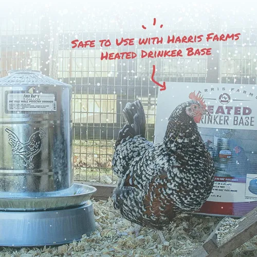 Miniatura 7 de Bebedero para aves de corral Harris Farms, doble pared, Plateado