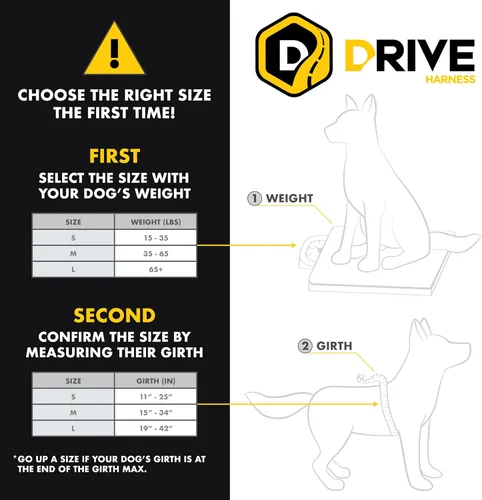Miniatura 2 de Arnés de coche para perros EzyDog Drive – Arnés de cinturón de seguridad para perros a prueba de choques y certificado (US-FMVSS 213) para viajes