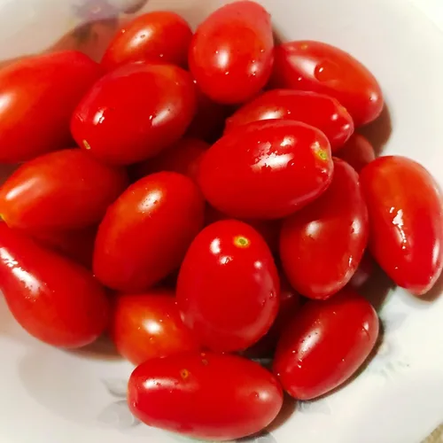 PAPAW'S GARDEN SUPPLY LLC. ¡Ayudando a que la próxima generación crezca! Semillas híbridas de tomate de uva Sweet Hearts, sin OMG, 1 paquete de 10