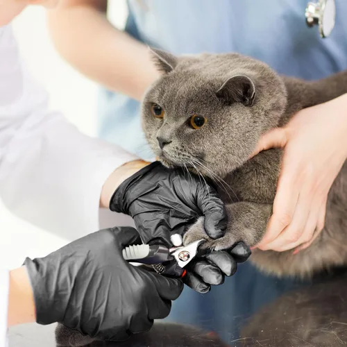 Miniatura 7 de Guantes desechables pequeños, de mezcla de nitrilo y vinilo, sin látex, 4 mil, 1000 unidades, guantes de grado alimenticio para limpieza
