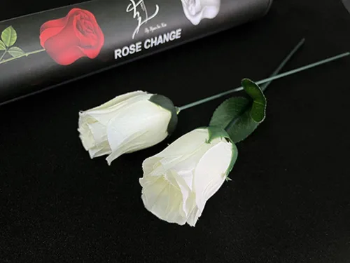 Miniatura 2 de ZQION Cambio de rosa Trucos de magia Cambio de Color Twin Rose Flower Silk Magia Magia Etapa Primer plano ilusiones Trucos mentalismo Props