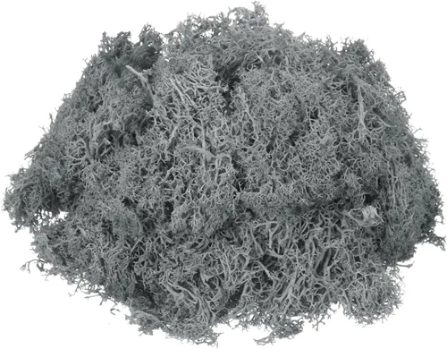 MECCANIXITY Musgo de reno preservado de 4.6 onzas, musgo artificial decorativo gris para plantas en maceta, manualidades de interiores, centros de