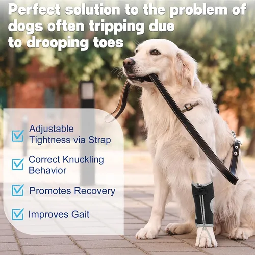Miniatura 7 de Muñuelos para perros para hiperflexión de falanges causada por daño del nervio ciático y deformidad flexional carpiana - Correas de bloqueo dobles