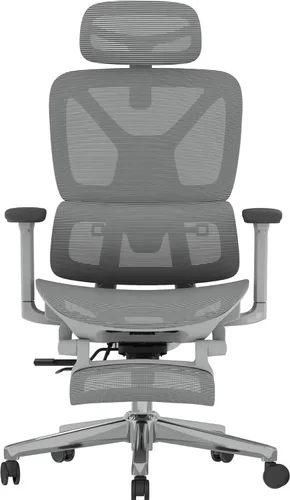 Miniatura 11 de FLEXISPOT ErgoX Premium - Silla de oficina ergonómica premium con reposapiés - Reposabrazos 3D ajustables, soporte lumbar dinámico, función de Gris