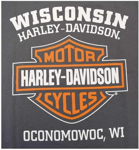 Miniatura 2 de Harley-Davidson Camiseta negra desgastada con barra alargada y escudo para hombre 30296553