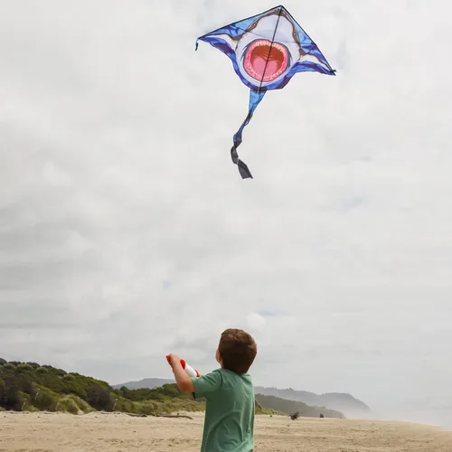 Miniatura 8 de In the Breeze Cometa Fly-Hi de 45 pulgadas, cometa de una sola línea, tela Ripstop, línea y bolsa incluidas