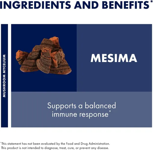 Miniatura 6 de Host Defense Mesima Cápsulas – Actividad antioxidante herbaria y suplemento de apoyo del sistema inmunológico – Suplemento de hongos para apoyar una