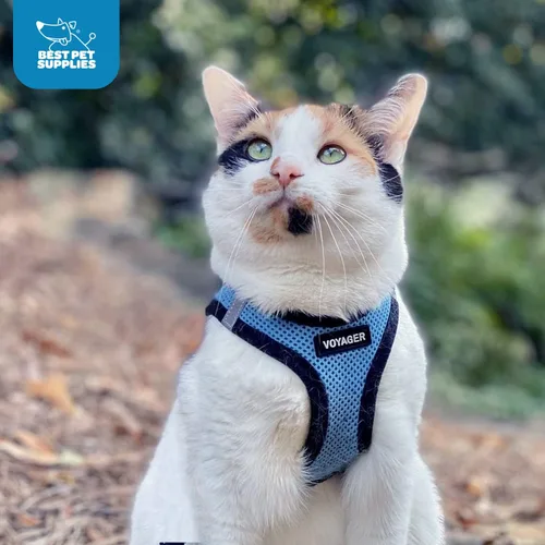 Miniatura 10 de Best Pet Supplies - Arnés de malla/felpa para todo clima, reflectante, sin tirones para perros pequeños y medianos, gatos - Seguro con cierre