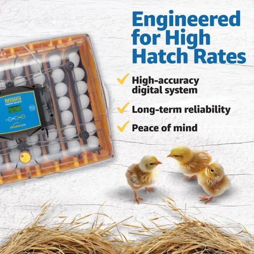 Miniatura 2 de Brinsea Ovation 56 EX Incubadora de Huevos con Control Automático de Humedad y Giro de Huevos para Incubar 56 Huevos de Gallina, Pato, Otros Huevos