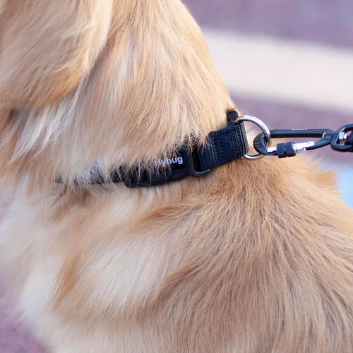 Miniatura 4 de Hyhug Pets - Collar clásico para perros de la colección regular de color sólido (S, negro)