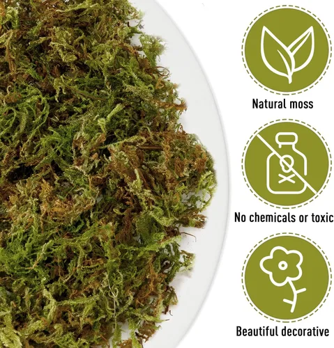 Miniatura 3 de EBOOT Musgo falso de musgo sintético de 42.33 onzas para plantas en maceta, musgo sintético de gran capacidad para terrario, musgo natural