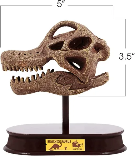 Miniatura 4 de ArtCreativity Kit de excavación de dinosaurios para niños, juego de excavación de cráneo de braquiosaurio con herramientas de excavación de fósiles