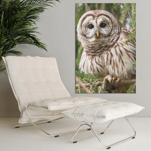 Miniatura 4 de Póster de lienzo con diseño de búho con diseño de pájaro con diseño de barras, decoración de dormitorio, paisaje deportivo, oficina, habitación