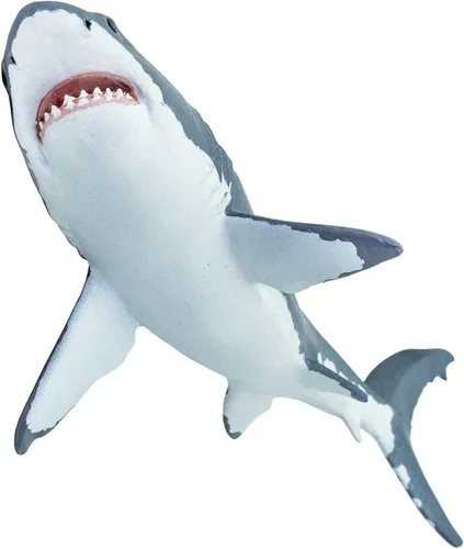 Miniatura 5 de Safari Ltd. Gran figura de tiburón blanco – Figura de modelo realista de 6.25 pulgadas – Juguete educativo para niños, niñas y niños a partir de 3