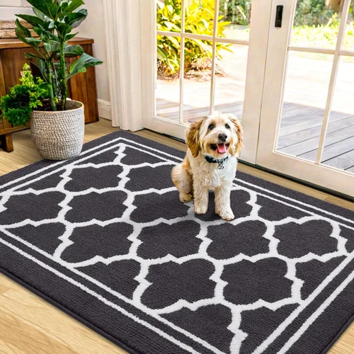 Miniatura 34 de Buganda Alfombra para Puerta Interior, Felpudo Resistente a la Suciedad y Absorbente, Antideslizante, Alfombras de Perfil Bajo para Entrada Marrón
