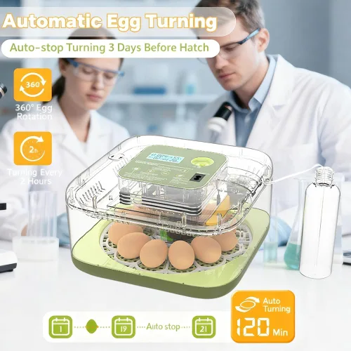 Miniatura 4 de Incubadoras para incubar huevos, capacidad de 12 huevos, incubadora de huevos con giro automático de huevos y control de humedad para todas las aves