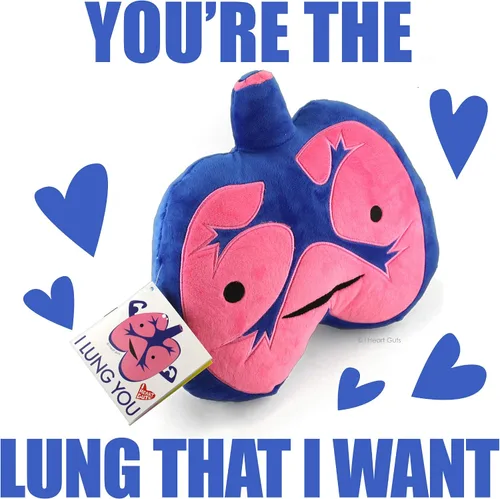 Miniatura 3 de I Heart Guts Peluche de pulmones – Juguete educativo lindo de órgano de 10.5 pulgadas para asma, EPOC y cirugía torácica – Divertido regalo