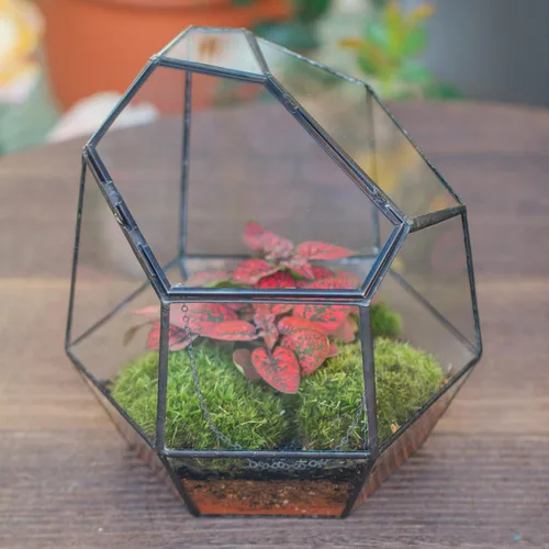 Miniatura 7 de NCYP Terrario geométrico cerrado pequeño hecho a mano de 7.5 pulgadas con puerta, maceta de vidrio irregular negro, maceta moderna para flores