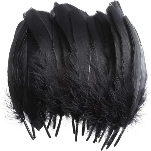 100 plumas de ganso naturales para decoración – Plumas coloridas surtidas de 6 a 8 pulgadas para manualidades, festivales, Erikord (negro)