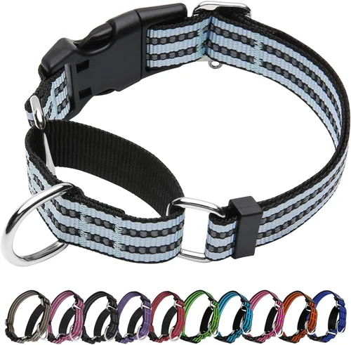 Miniatura 21 de Martingale - Collar para perro, collar reflectante ajustable de nailon con hebilla de liberación rápida (rosa intenso, talla L)