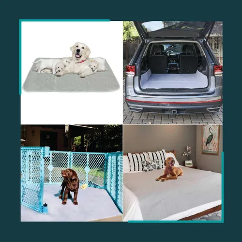 Miniatura 2 de rocket & rex Premium XL Almohadilla Lavable Antideslizante para Orina de Perros, Almohadilla para Cachorros Impermeable y Reutilizable