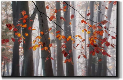 Miniatura 16 de Lienzo de arte de pared de paisaje abstracto con flores y bosque moderno, cuadros de arte para decoración de sala de estar, cocina, baño, oficina