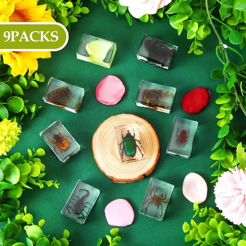 Miniatura 2 de Beeveer 9 piezas de insectos en resina, especímenes de insectos, colección de arañas, mariposas, juguetes de insectos, especímenes educativos
