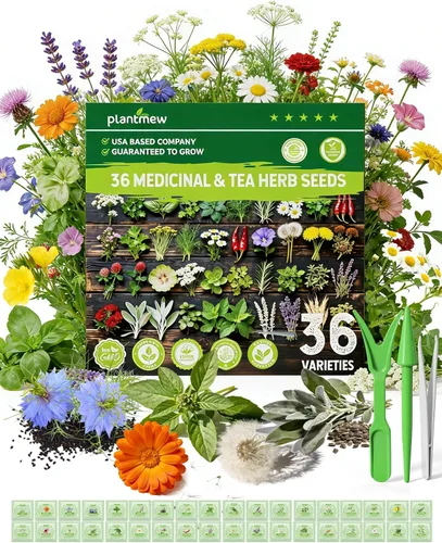 Paquete variado de semillas de hierbas medicinales – 36 semillas de jardín de té de hierbas no transgénicas: manzanilla, lavanda, equinácea,