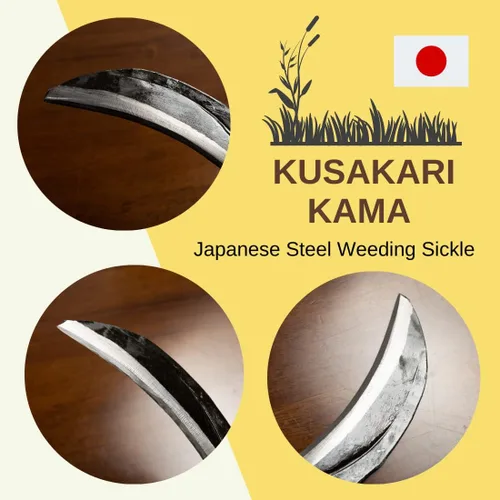 Miniatura 3 de Hoz japonesa (hoja gruesa), hoja de acero de alta calidad (acero azul n.º 2) herramienta de mano para jardinería, deshierbe y agricultura, longitud