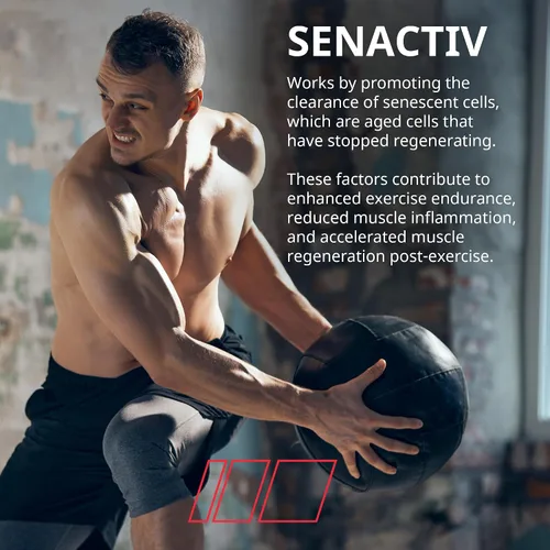 Miniatura 6 de Granite Nutrition Recovery - Bebida intraentrenamiento prémium con EAA, dextrina en racimo, Sensoril y Senactiv para rendimiento atlético