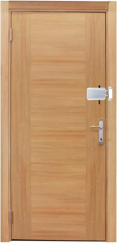 Miniatura 4 de Cerrojo electrónico, control remoto, antirrobo, seguridad para el hogar, sin llave, cerradura de puerta oculta inteligente con 4 controles remotos