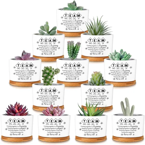 Miniatura 9 de 12 macetas inspiradoras para suculentas, regalo de agradecimiento a granel para mujeres, empleadas, profesores, compañeras de trabajo, Sometimes You