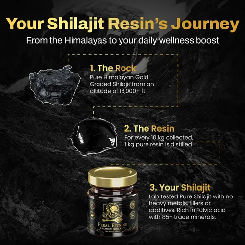 Miniatura 7 de 1.76 oz Probado en laboratorio en los Estados Unidos Resina Shilajit del Himalaya 100% pura – Grado dorado Más de 85 minerales traza y ácido