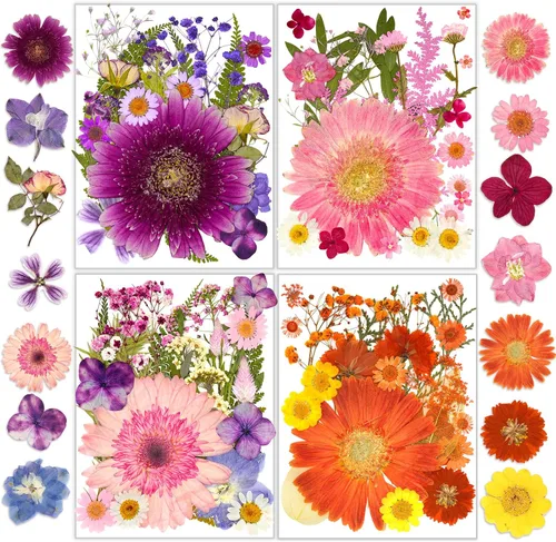 Miniatura 9 de Flores Secas, Resiners 58 Piezas Flores Prensadas para Manualidades Rosa Flores Secas Naturales Reales Kit de Hojas Secas para DIY Hacer