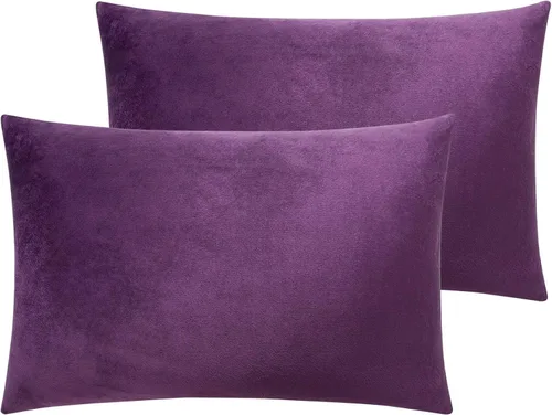 Miniatura 59 de NTBAY - Fundas de almohada de terciopelo con cierre para niños pequeños, 2 unidades, acogedoras, de lujo, de franela y felpa, para viajes, 33 x 46