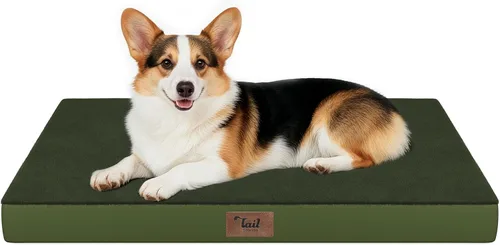 Miniatura 23 de Cama ortopédica de felpa para perros y cachorros medianos, camas impermeables para perros de 30 x 20 pulgadas con funda extraíble lavable, tapete