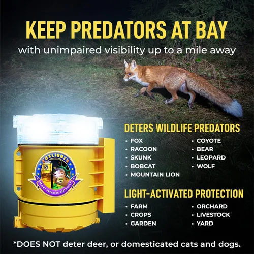 Miniatura 6 de Fox Lights Night Predator - Luz de control disuasorio con LED intermitentes, repelente de animales, protector de protección para bandadas, jardín