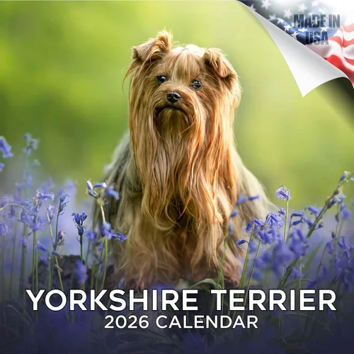 Miniatura 205 de Calendario 2025 2026 de cachorros Cocker Spaniel - Calendario mensual de pared de raza de perro - 12" x 24" abierto - Papel grueso sin sangrado