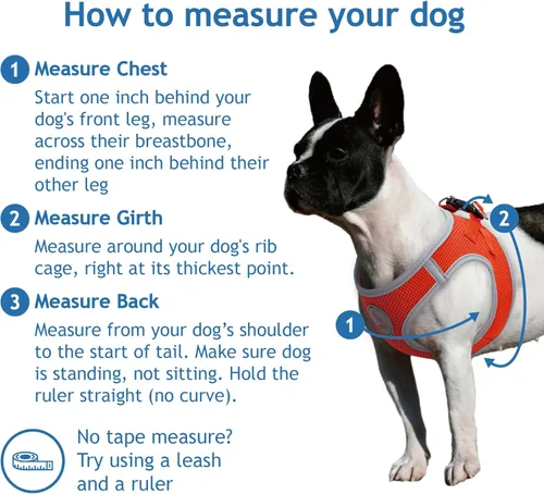 Miniatura 2 de DOCO Arnés para perro │ Arnés para cachorros Athletica para perros pequeños │ Chaleco resistente sin estrangulamiento, ligero reflectante