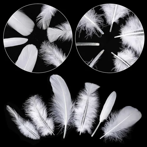 Miniatura 3 de Larryhot White Craft Feathers - 240 plumas naturales mixtas de 6 estilos para bodas, fiestas en casa, suministros de atrapasueños y manualidades