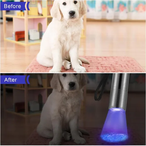 Miniatura 6 de Roceei 10 linternas de luz negra UV, luces LED, luz negra de mano, mini detector de antorcha, linterna UV portátil para mascotas