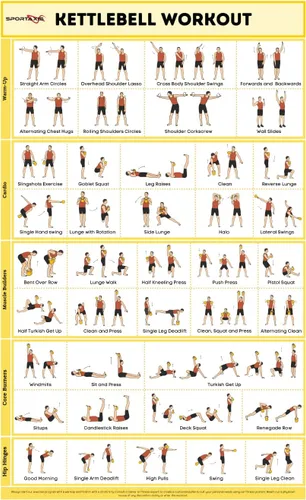 Miniatura 8 de SPORTAXIS Póster de entrenamiento básico con ilustraciones de colores, póster de pared laminado sin equipo para entrenamiento en casa, pósteres