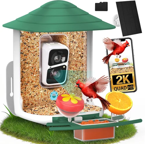 birdsnap® TUC - Comedero para pájaros con cámara 2K HD en vivo con tarjeta de 32 GB, detección y notificación automática de inteligencia artificial,