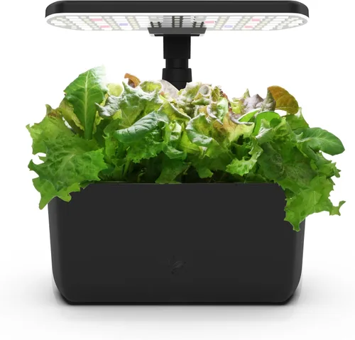 Miniatura 13 de AeroGarden Harvest Lite en color rojo cereza, jardín hidropónico interior sin tierra con luz LED de cultivo para jardinería durante todo el año