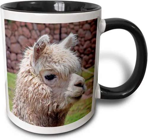 3dRose Taza de café, tamaño - 11oz - Perú. Alpaca Wildlife, Awana Kancha, Valle de Urubamba - SA17 KWI0128 - Kymri Wilt Wildlife - divertido regalo