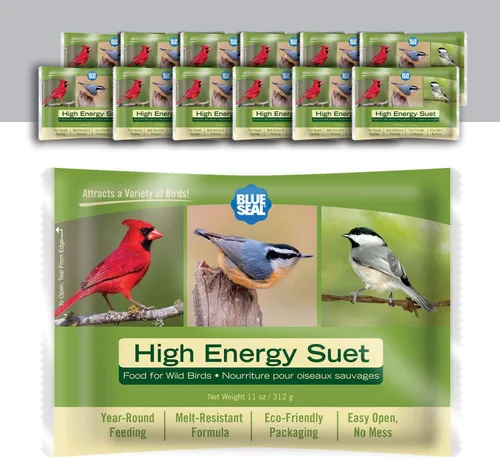 Blue Seal Pasteles de sebo de alta energía para aves silvestres, alimento para pájaros carpinteros, cardenales, mariquitos, gorriones y más,