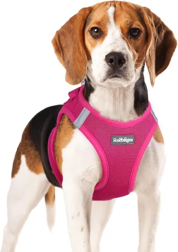 Miniatura 99 de rabbitgoo Arnés para perro pequeño, chaleco de malla suave para cachorros con hebilla de seguridad, arnés reflectante transpirable para mascotas